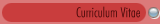 Curriculum Vitae